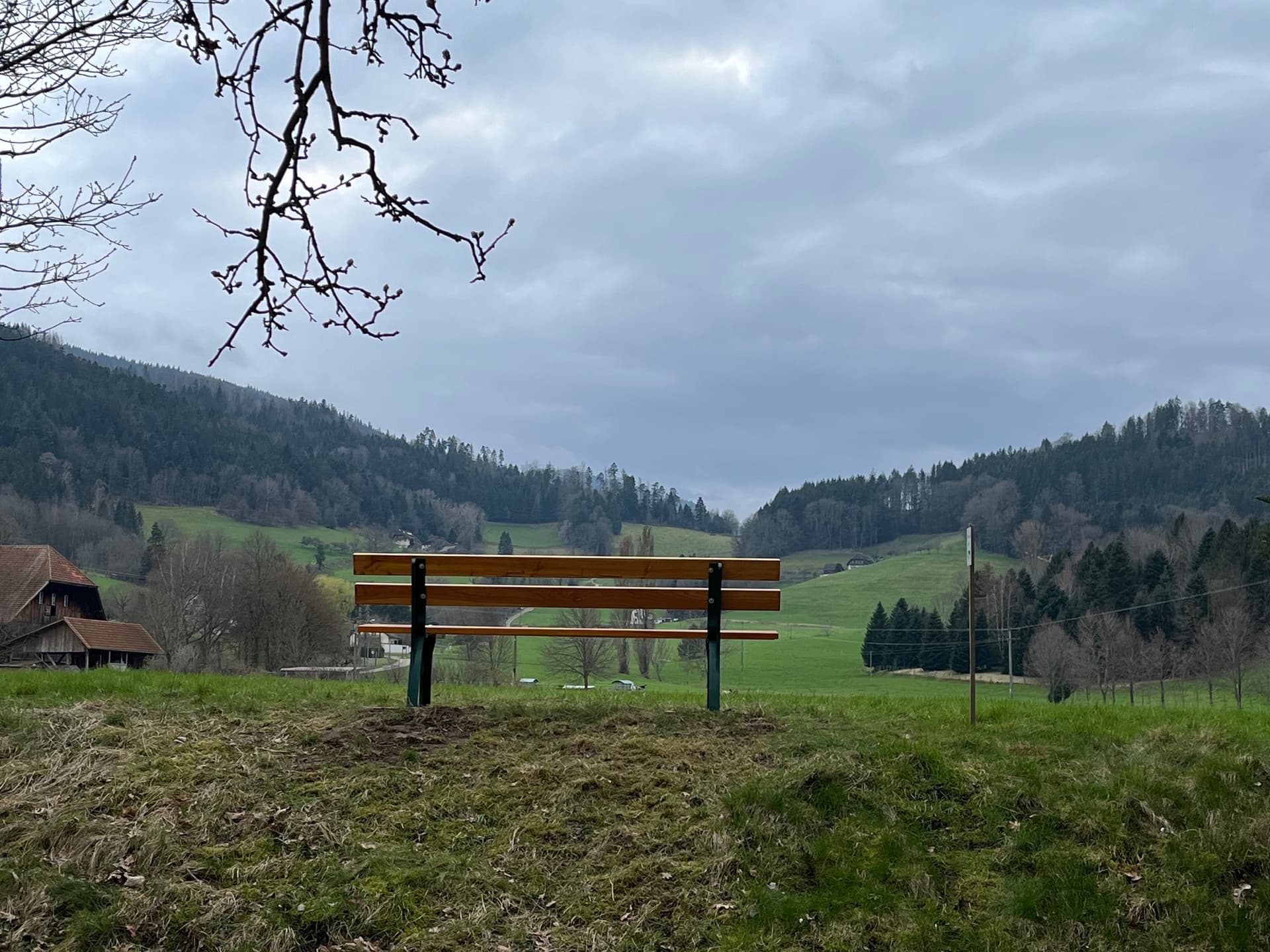 Bürgerbänkle